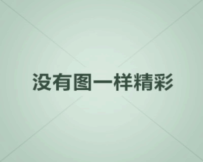 你好，我想问下hp compad6710b的指纹识别系统怎么使用，电脑上没有HP ProtectTools Security Manager，
