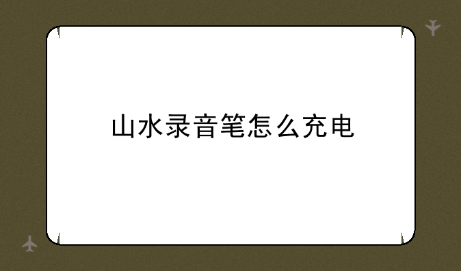 山水录音笔怎么充电