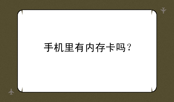 手机里有内存卡吗？