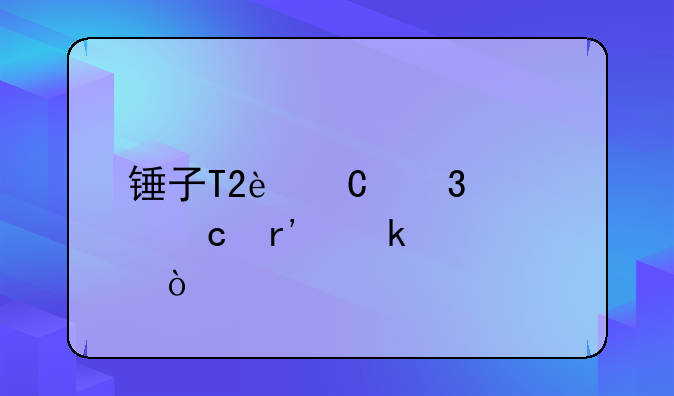 锤子T2运行内存有多大？
