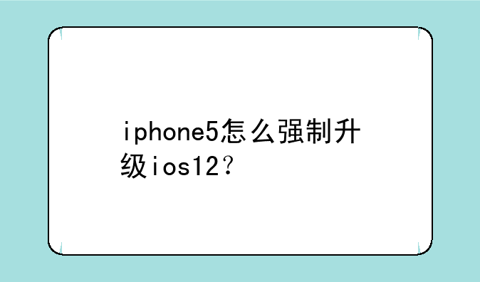 iphone5怎么强制升级ios12？