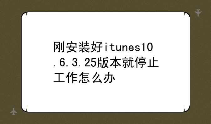 刚安装好itunes10.6.3.25版本就停止工作怎么办