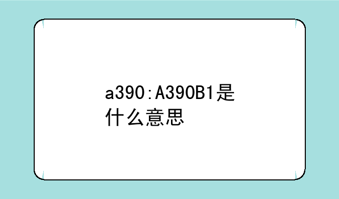 a390:A390B1是什么意思