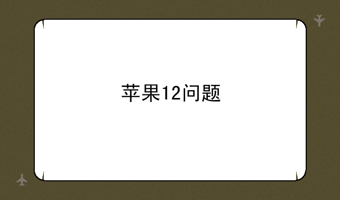 苹果12问题